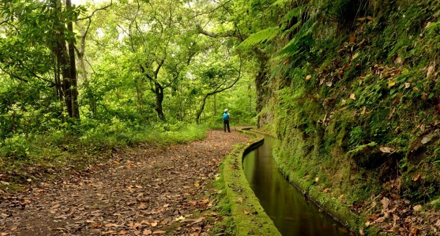 Hiking holidays in Madeira - Levada do Rei